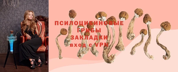 скорость Алзамай