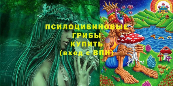 скорость Алзамай