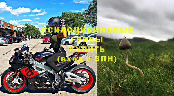 амф Алексин