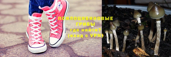 дживик Абаза